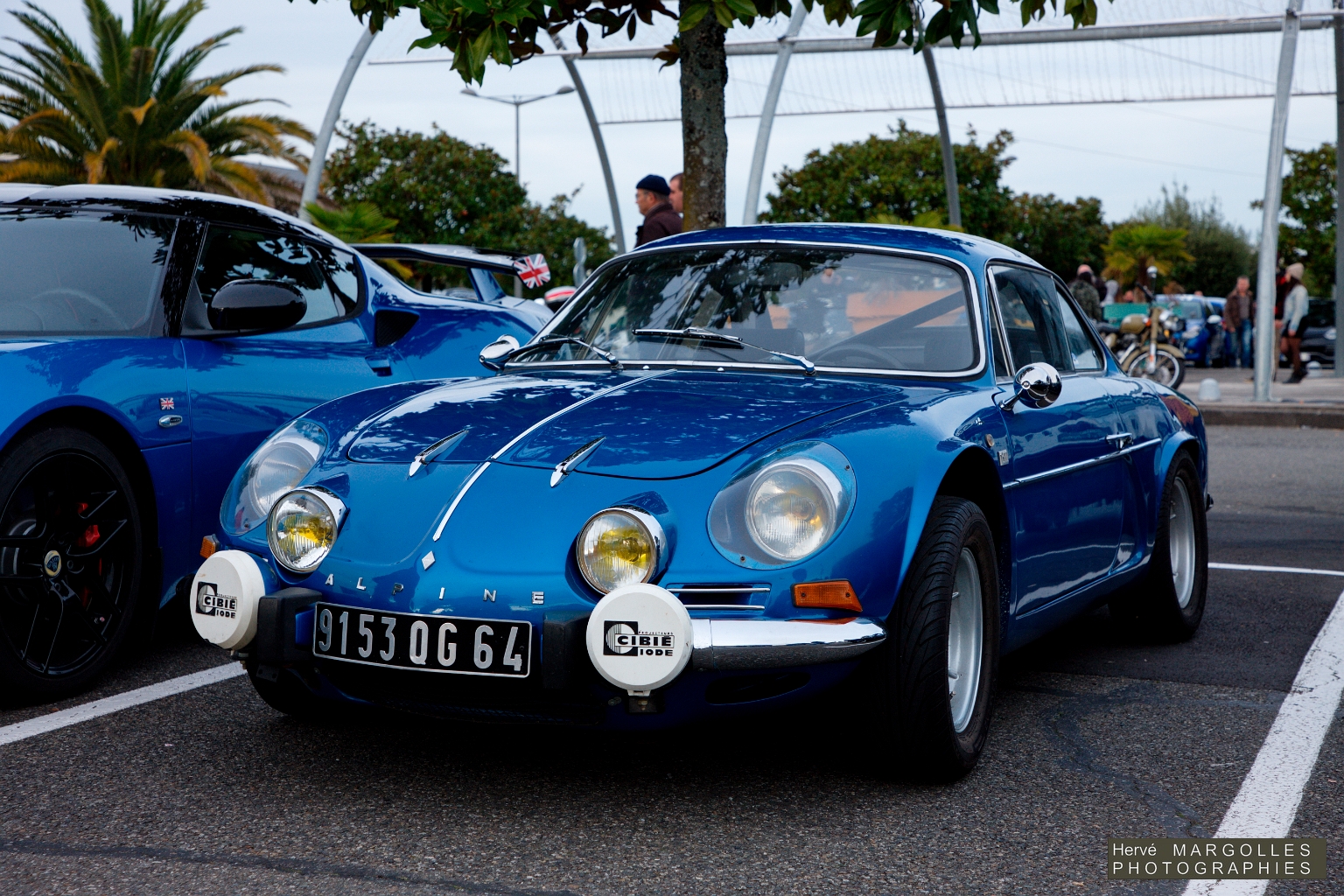 Alpine A110-01.jpg